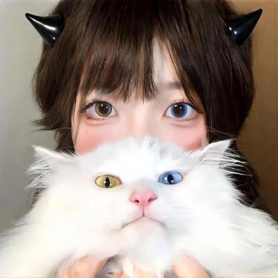 野良猫洛克:女番长